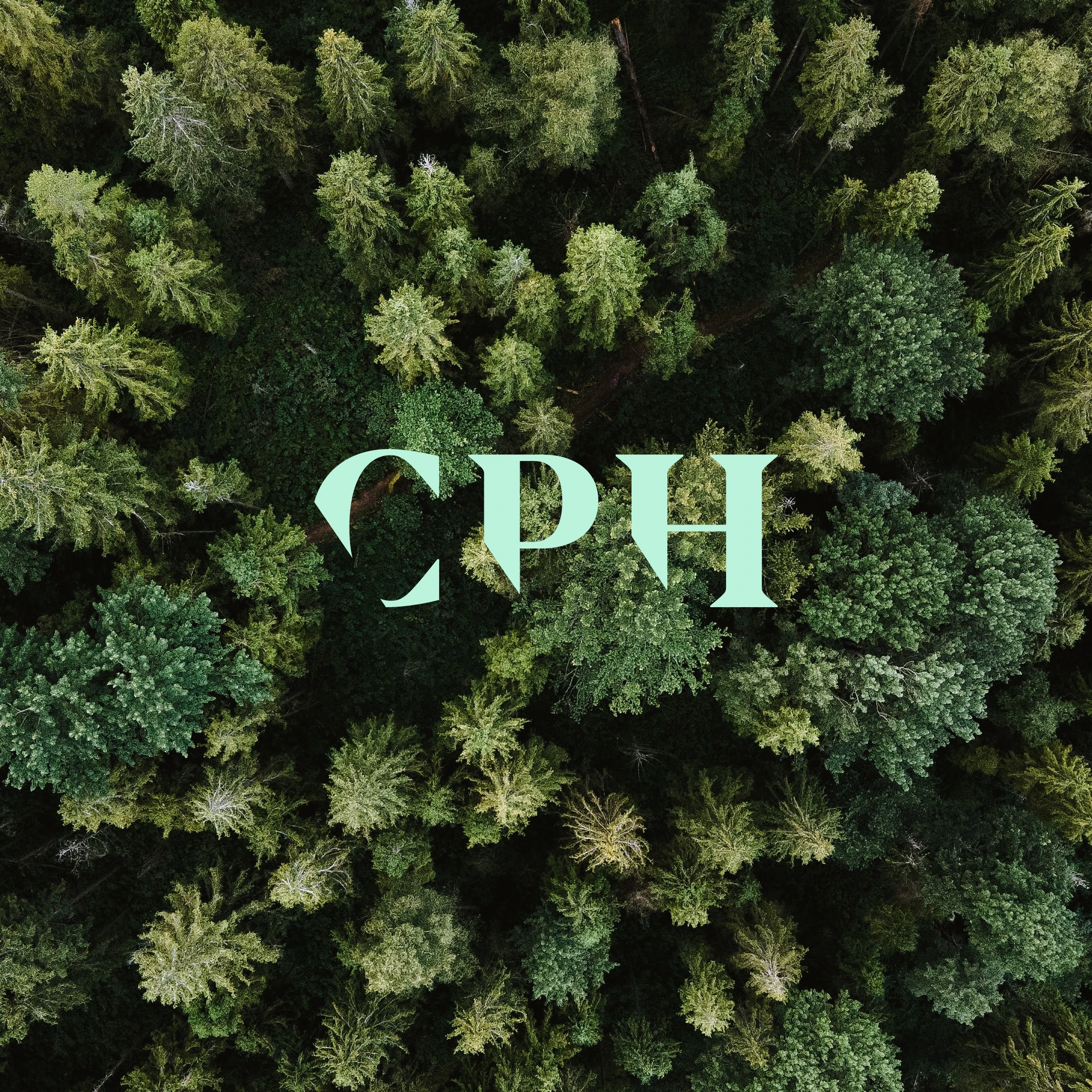 CPH Hospitality cover